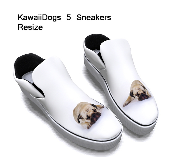KawaiiDogs 5 sneakers Box