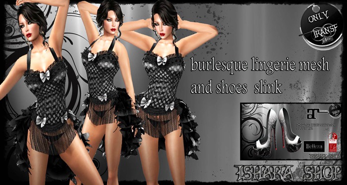 burlesque lingerie mesh and shoes  slink