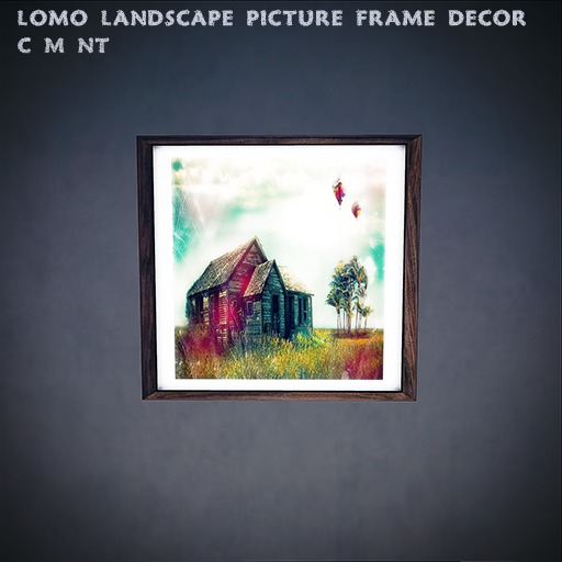 Perfection ~ Lomo Landscape Picture Frame*