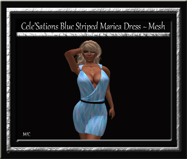 Cele'Sations Mini Skirt A MESH Pk