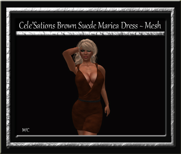 Cele'Sations Mini Skirt A MESH Pk