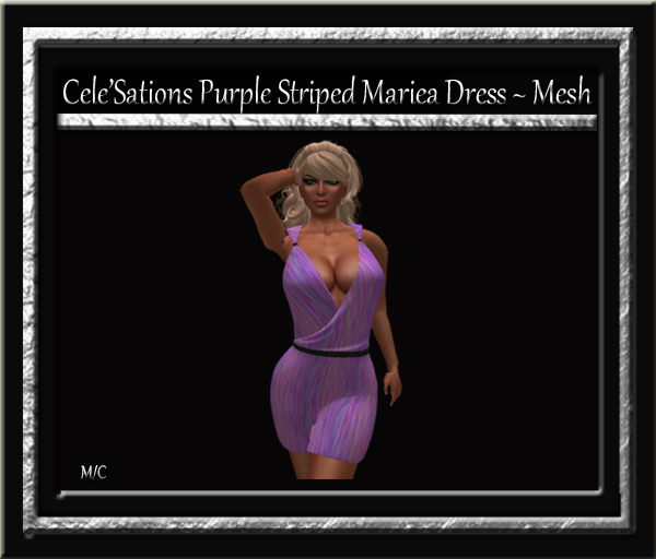 Cele'Sations Mini Skirt A MESH Pk