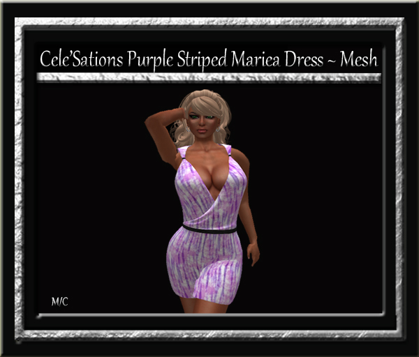 Cele'Sations Mini Skirt A MESH Pk