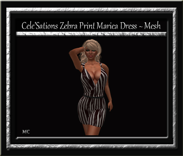 Cele'Sations Mini Skirt A MESH Pk
