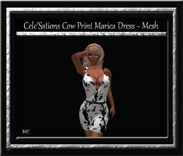 Cele'Sations Mini Skirt A MESH Pk