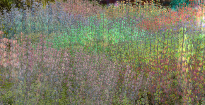 *Shabby* Wild Berries