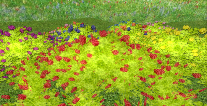 *Shabby* Lucky Fields