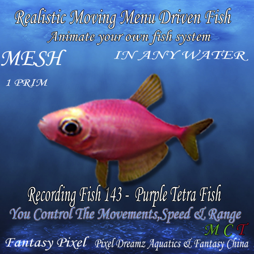Realistic Moving Menu Driven Fish YOU CONTROL - Recording Fish 143 Purple Tetra Fish