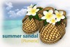 Sandal pulmeria pop