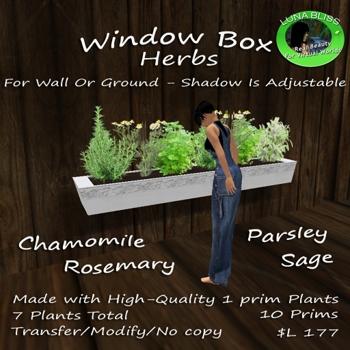 Window Box - Herbs - By Luna Bliss