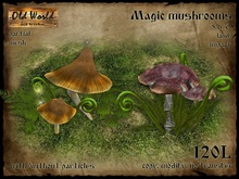 Magic mushrooms - Old World - Rustic Garden