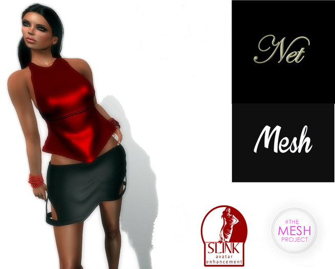 ::Net::DEMO Luton Outfit   TMP-SLINK-MESH