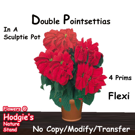Hodgie's Plants & Flowers  ---  Red Pointsettia Plant In A Sculptie Pot Christmas