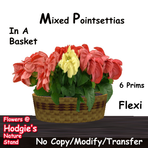 Hodgie's Flowers & Plants  --  Multi-Colored Double Poinsettia Plant In A Basket Christmas