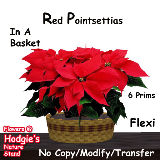 Hodgie's Flowers & Plants  --  Poinsettia (Red) Flexi Plant In Basket Christmas