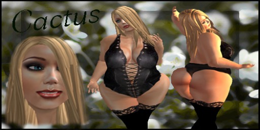 "Click to unpack" Cactus copy version)