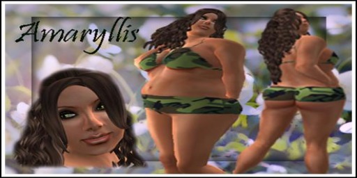 "Click to unpack" (Amaryllis copy version)