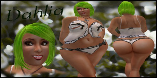 "Click to unpack"Dahlia copy version)