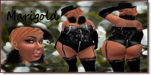 "Click to unpack" (Marigold copy version)