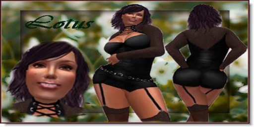 "Click to unpack"Lotus copy version)