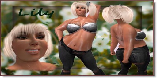 "Click to unpack"Lily copy version)