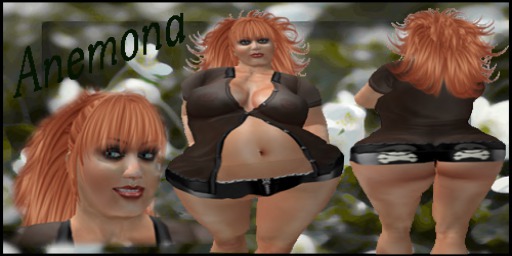 "Click to unpack"Anemona copy version)