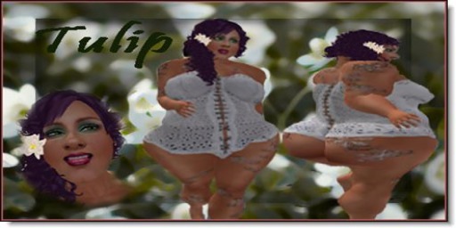 "Click to unpack"Tulip copy version)