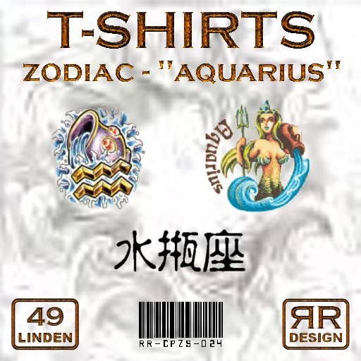 Zodiac 11 - Aquarius