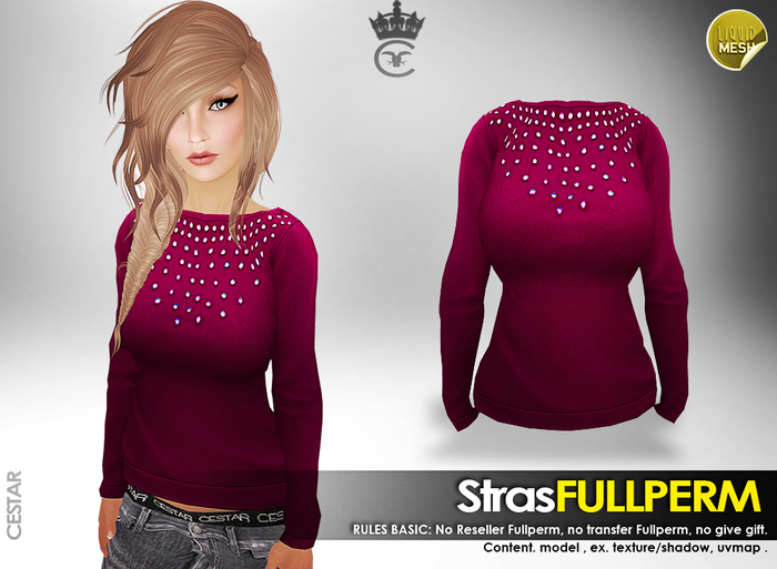 " Blouse Stras " FULL PERMISSION