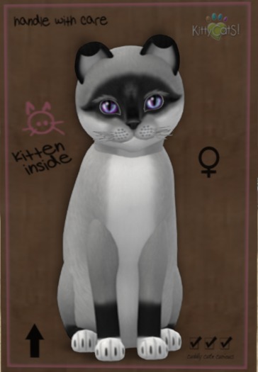 ♀ 7T Foxie Salt & Pepper Mask Morning Glory Curious Small Flair Mysterious Soft Fold Silver Mysterious