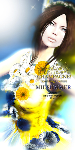 (C)DEMO/MIDSUMMER Mesh Dress (5 Sizes)