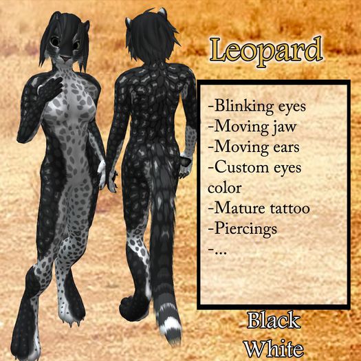 DSD Leopard - 