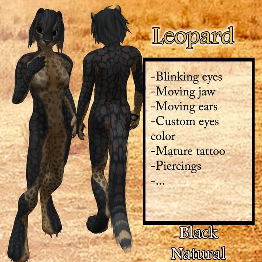 DSD Leopard - 