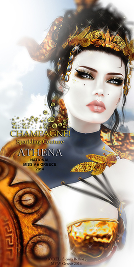 (C)DEMO/ATHENA Mesh Parts