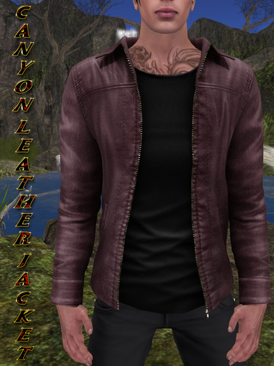 Canyon Leather Jacket Plum