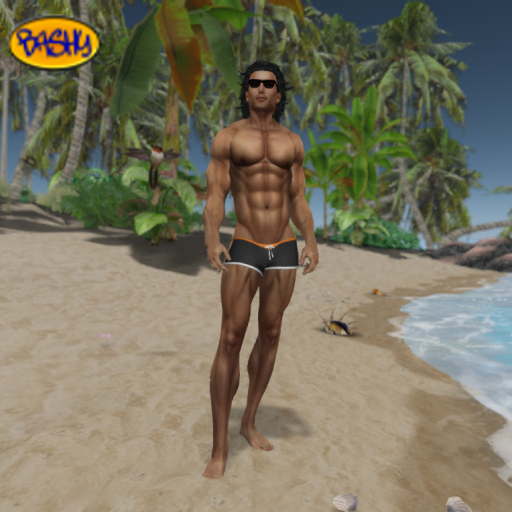 ::BASHY:: Aesthetic Reef Swim Shorts Black Orange