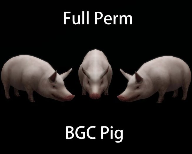 BGC Pig