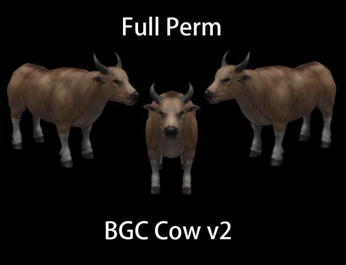 BGC Cow v2