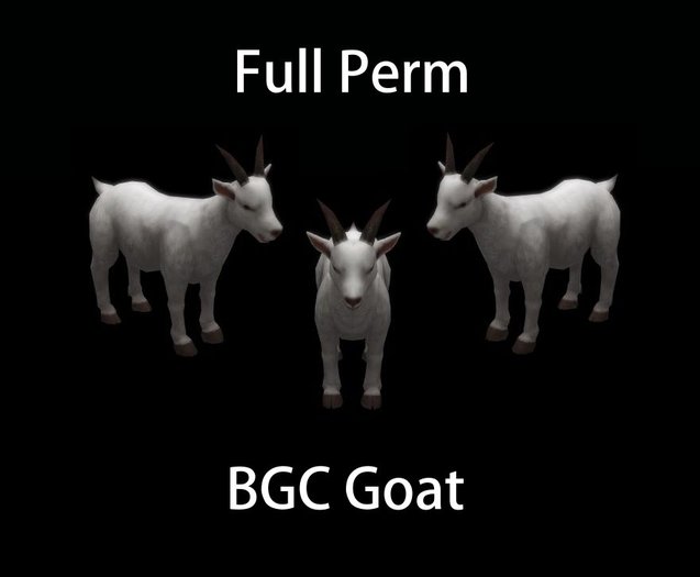 BGC Goat