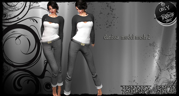danissa  model mesh 2