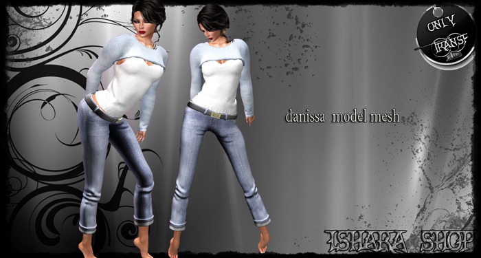 danissa  model mesh