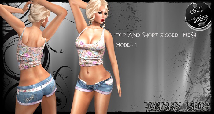 top and short rigged  mesh  model 1