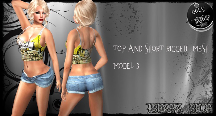 top and short rigged  mesh  model 3