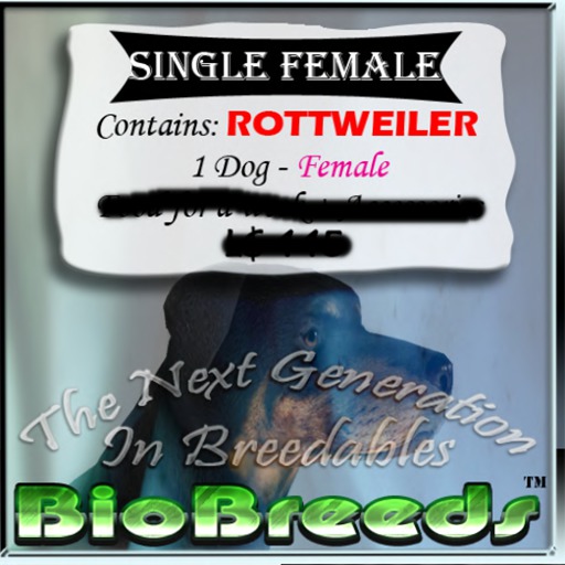 BB Rotty Box FEMALE
