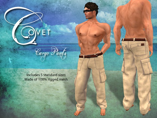 {Covet} Cargo Pants (A)