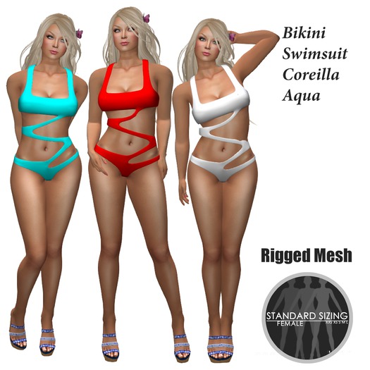 Coreilla Aqua Bikini Swimsuit Mesh Rigged