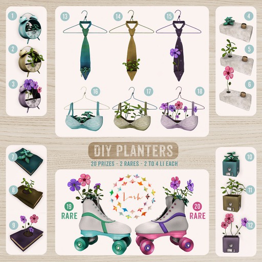 Lark - Book Succulent - 7