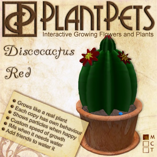 PlantPet Seed [Discocactus *Red*]