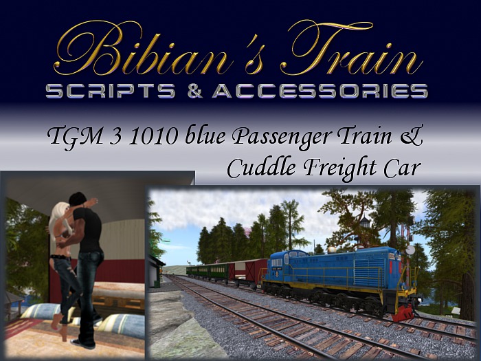 TRAIN DIESEL TGM3 1010 Passenger Train (PG)