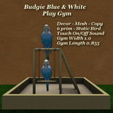 Budgie Blue & White Gym